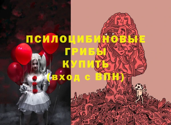 mdma Козельск