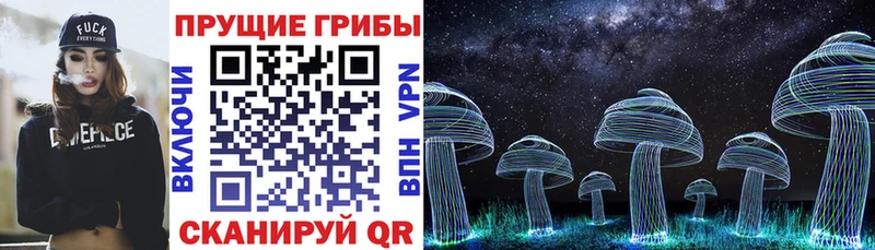 Галлюциногенные грибы мухоморы  закладка  Стерлитамак 